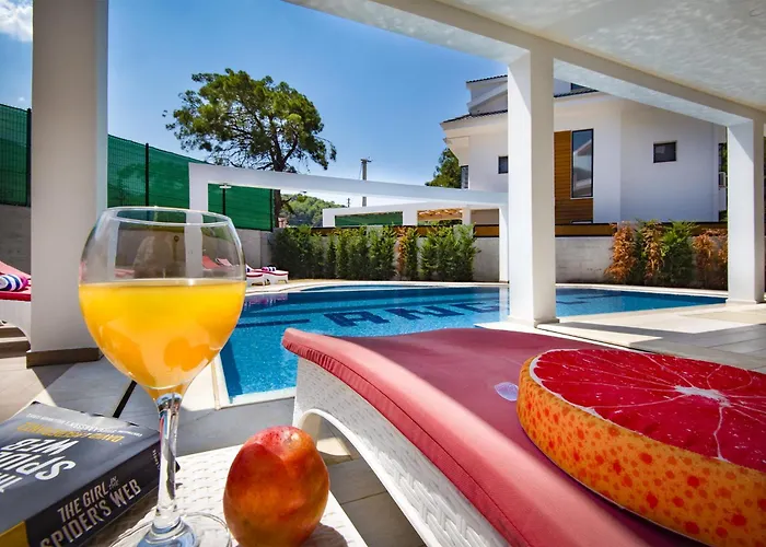 Hisar Celebrity E Willa