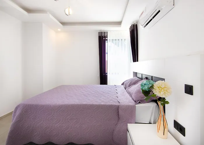 Hisar Celebrity E Vilă *