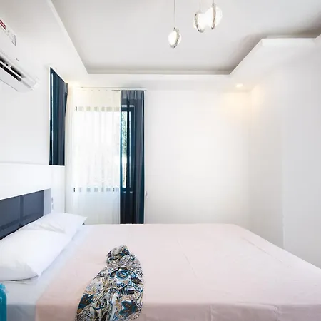 Hisar Celebrity E فيلة